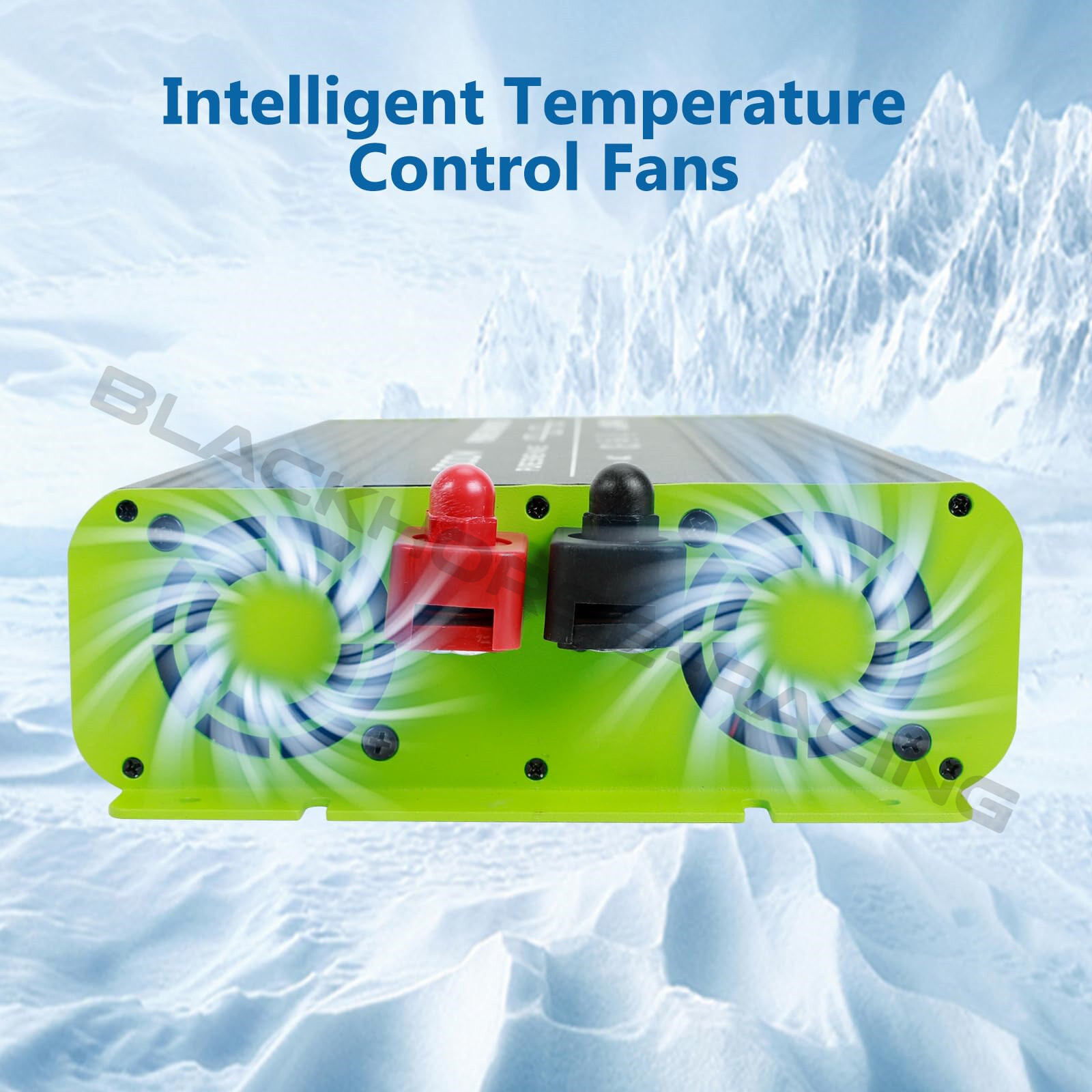 2000W Pure Sine Wave Inverter 12V DC to 110V AC Converter for Home RV Kettles