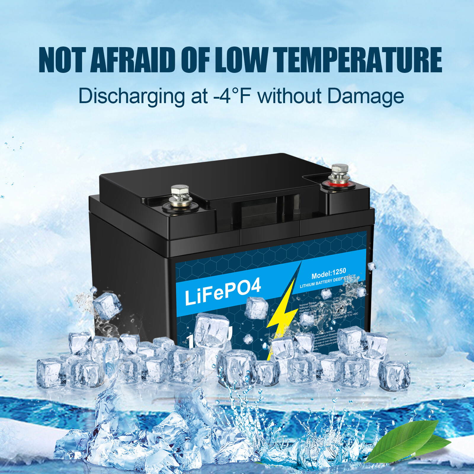 12V 10Ah 30Ah 50Ah BMS LiFePO4 Lithium Battery with Charger for RV Marine Lot