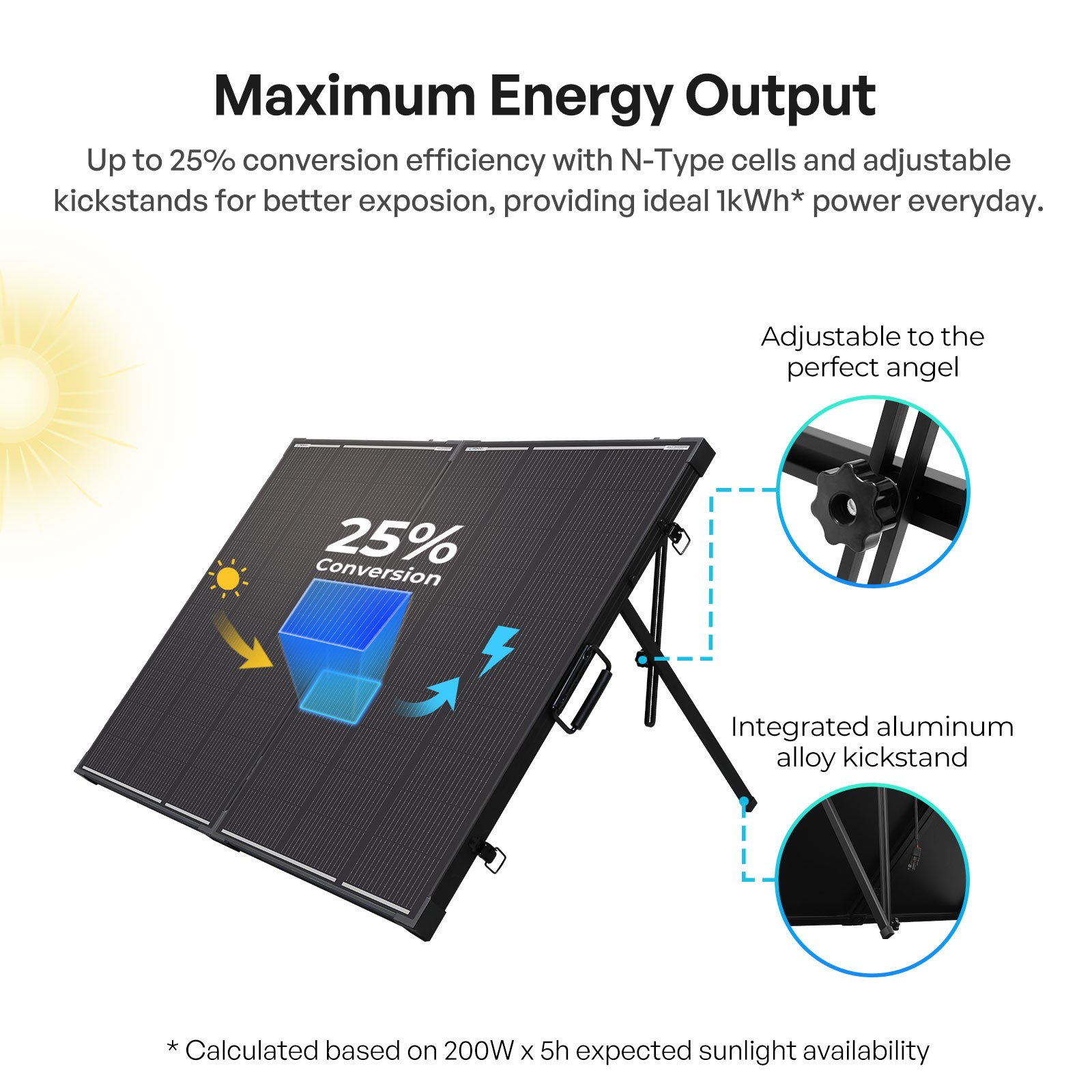 Renogy 200W 12V N-Type Portable Solar Panel Suitcase Kit with 20A PWM Controller