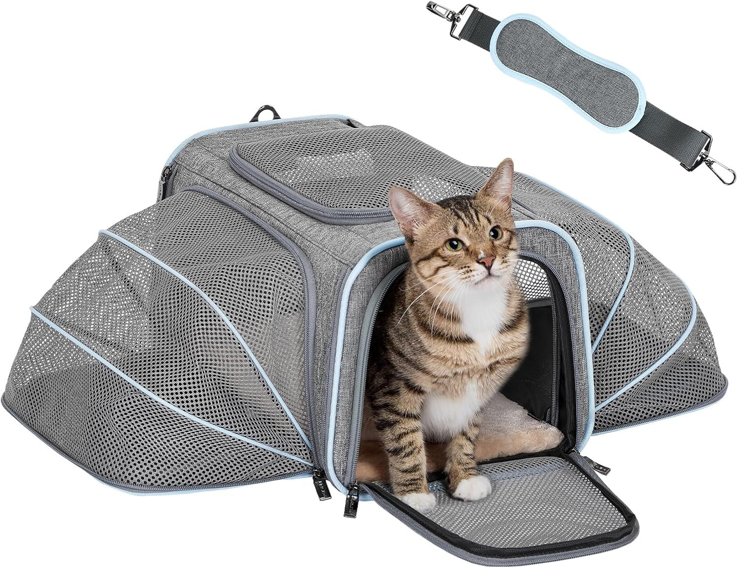 Small Double Expandable Cat Carrier for Kittens and Air Travel | 16 X 10 X 9 In;