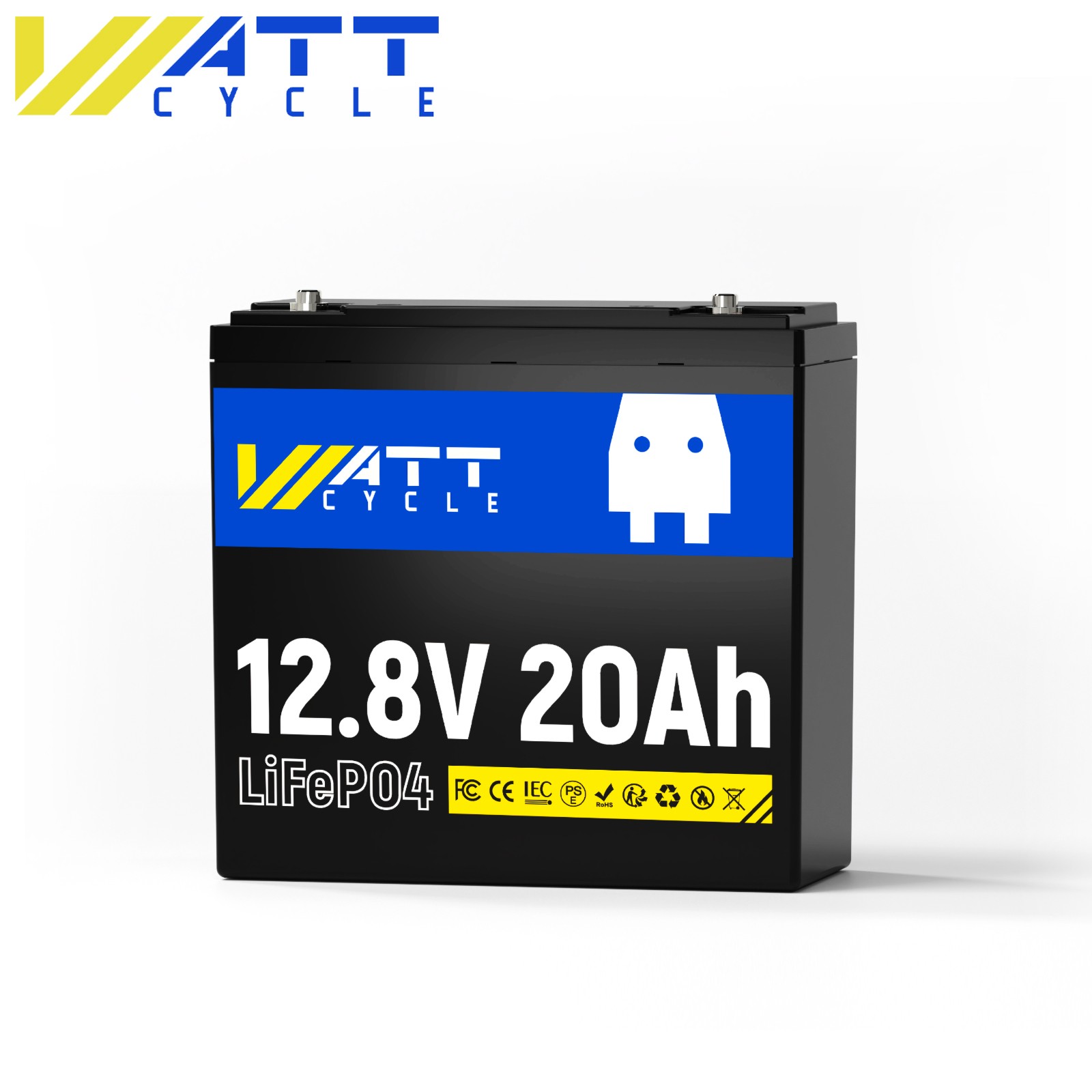 12V 20Ah 50Ah 100Ah Lithium Iron Phosphate Battery for RV Camping Boat Yacht