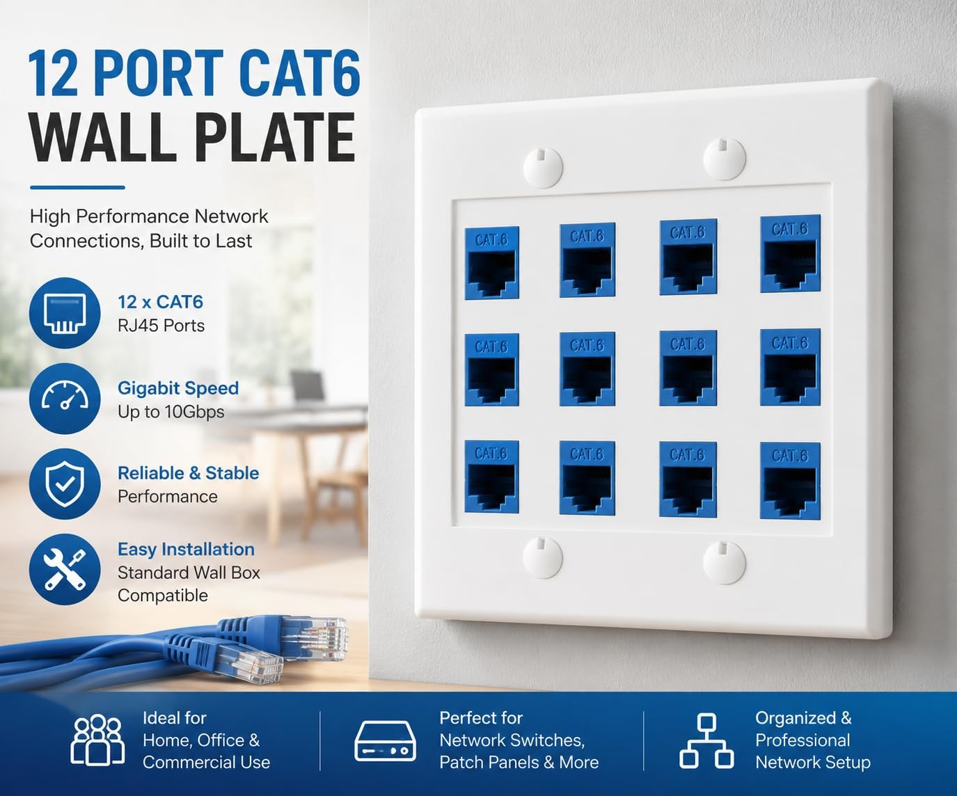 DIYTECH 12 Port Ethernet Wall Plate, Cat 6, Wall Outlet, RJ45 Female to Femal…
