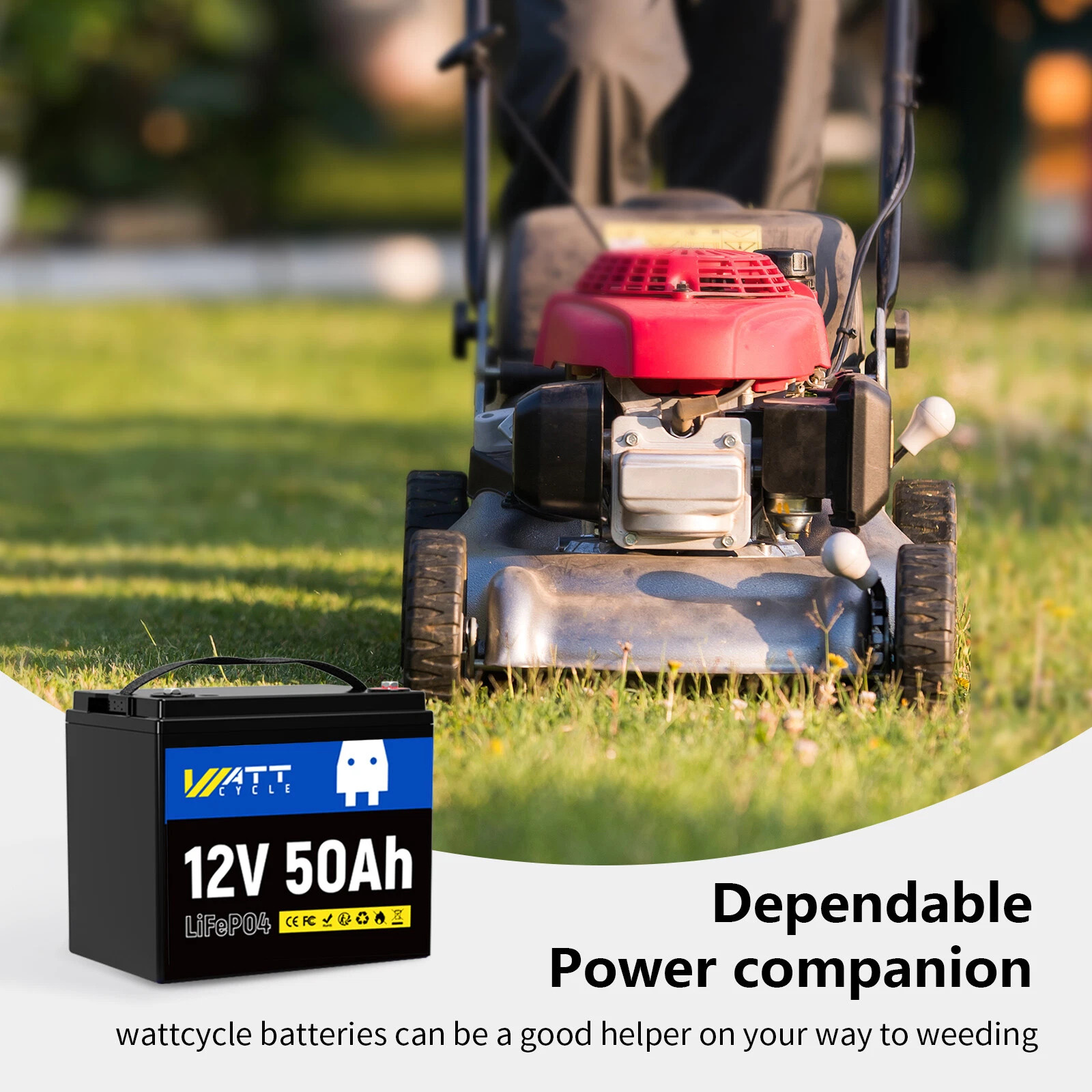 WattCycle 12V 50Ah LiFePO4 Lithium Battery Cycle Deep Built-in 50A BMS for RV