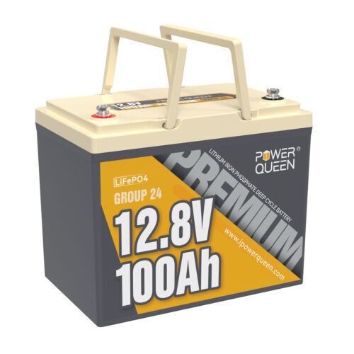 Power Queen 12V 24V 36V 50Ah 100Ah LiFePO4 Lithium Battery BMS For Marine RV lot