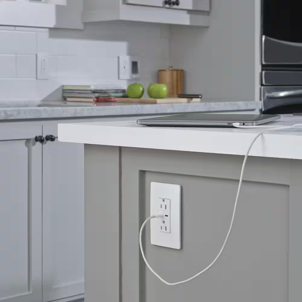 Radiant 15 Amp 125-Volt Decorator Duplex Outlet with 6.0 Amp Type C/C USB, White