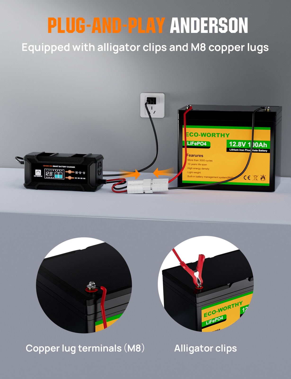 ECO-WORTHY 12V/24V 20A Lithium LifePO4 Battery Charger 14.6V Maintenance