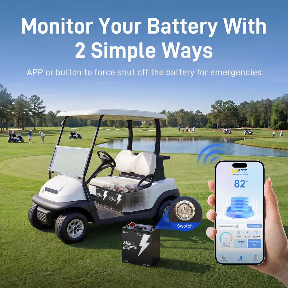 48V 50Ah 100A BMS Lithium Golf Cart Battery + 58.4V 15A LiFePO4 Battery Charger