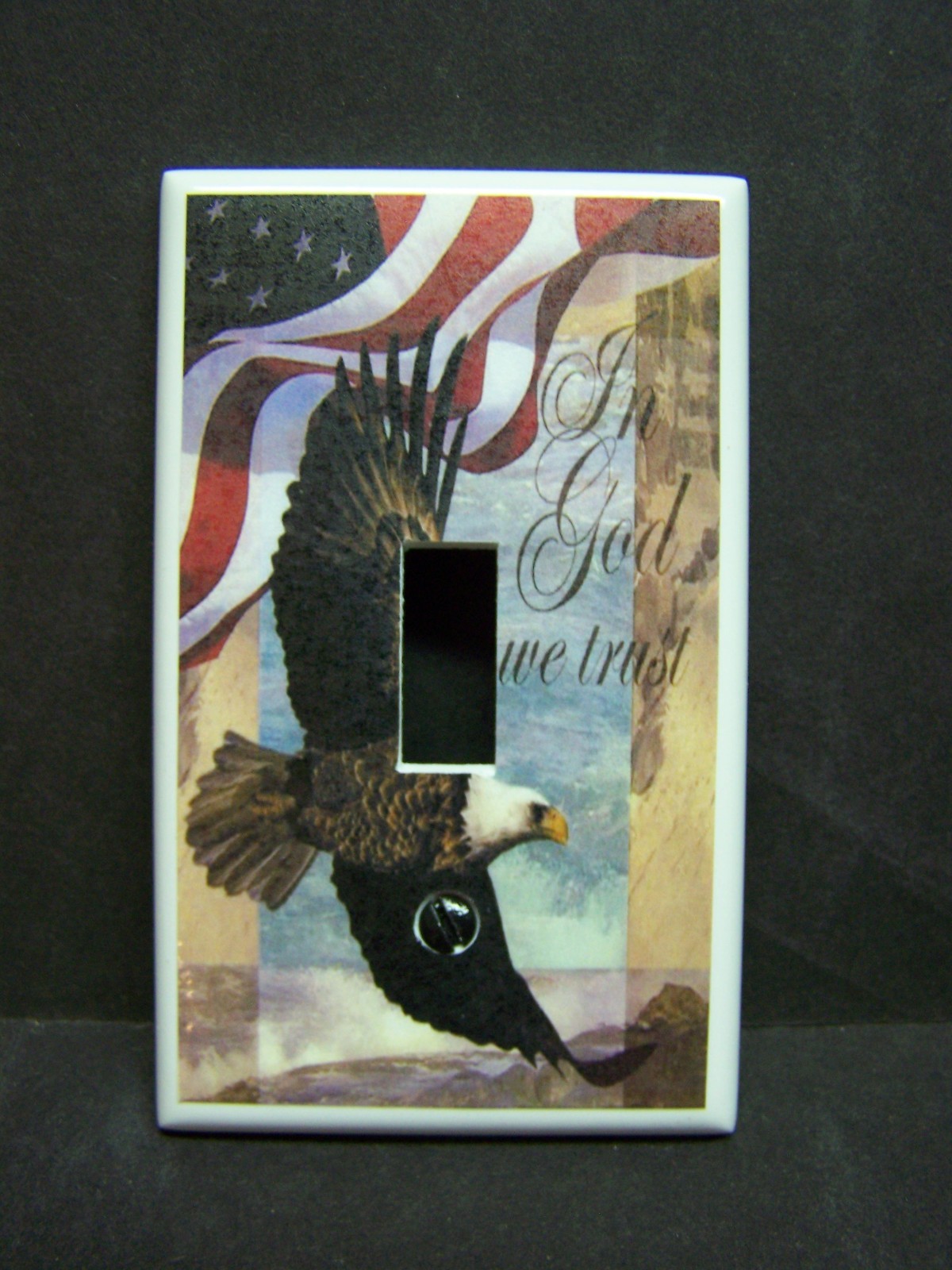 AMERICAN BALD EAGLE AND FLAG IMAGE 5 LIGHT SWITCH COVERS PLATE AND OUTLETS