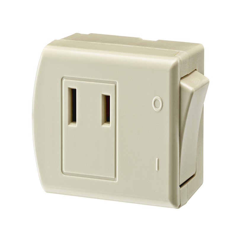 Leviton C29-01469-00I Ivory 13A 125V Thermoplastic 2-Pole Rocker Switch Adapter