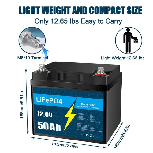 12V 10Ah 30Ah 50Ah BMS LiFePO4 Lithium Battery with Charger for RV Marine Lot