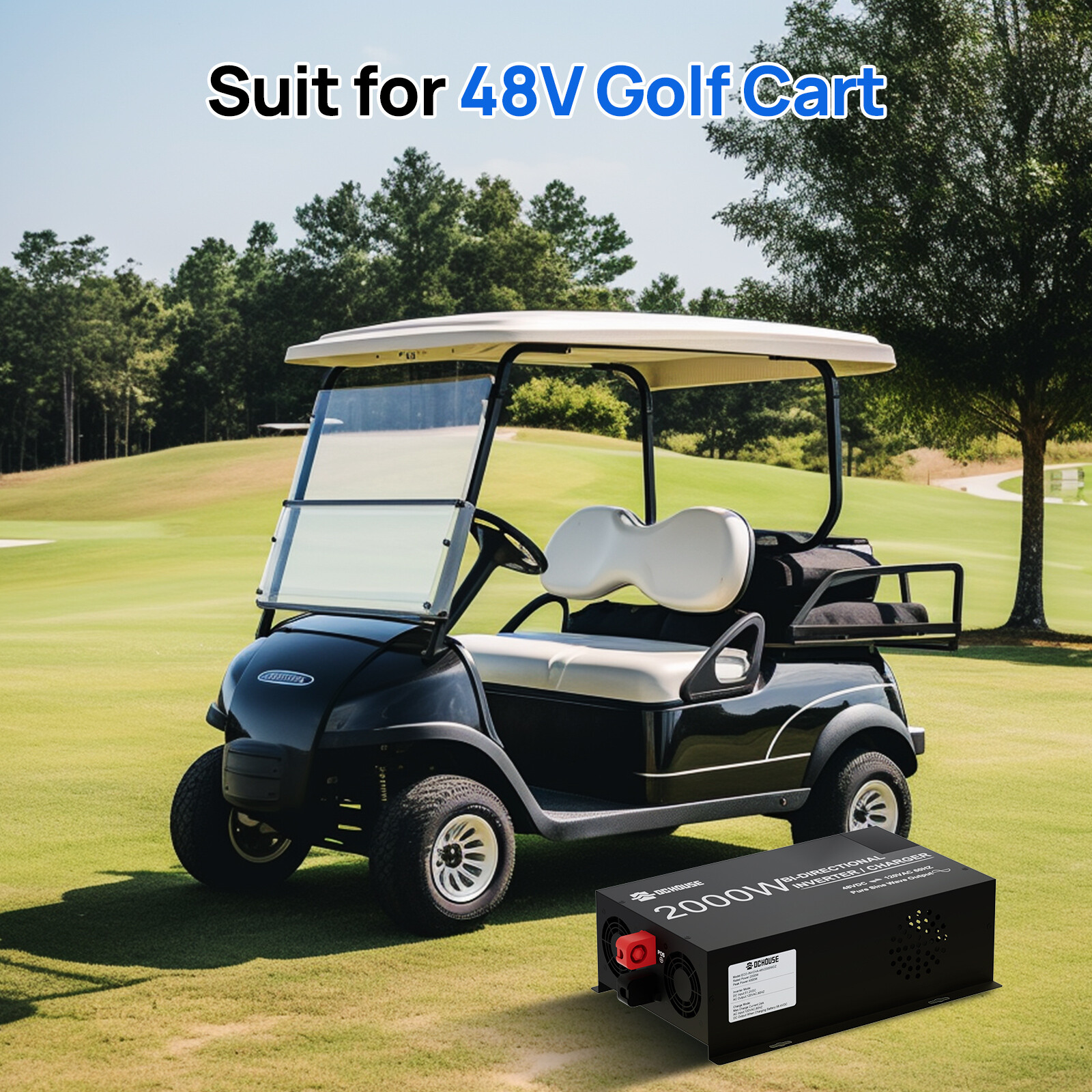 2 in 1 48V 2000W Pure Sine Wave Inverter 25A Lithium Battery Charger Golf Carts