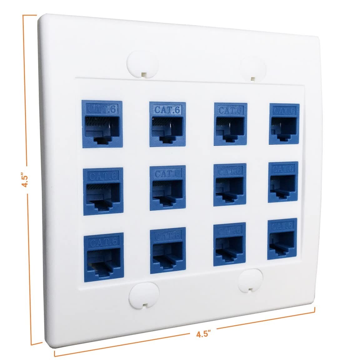 DIYTECH 12 Port Ethernet Wall Plate, Cat 6, Wall Outlet, RJ45 Female to Femal…