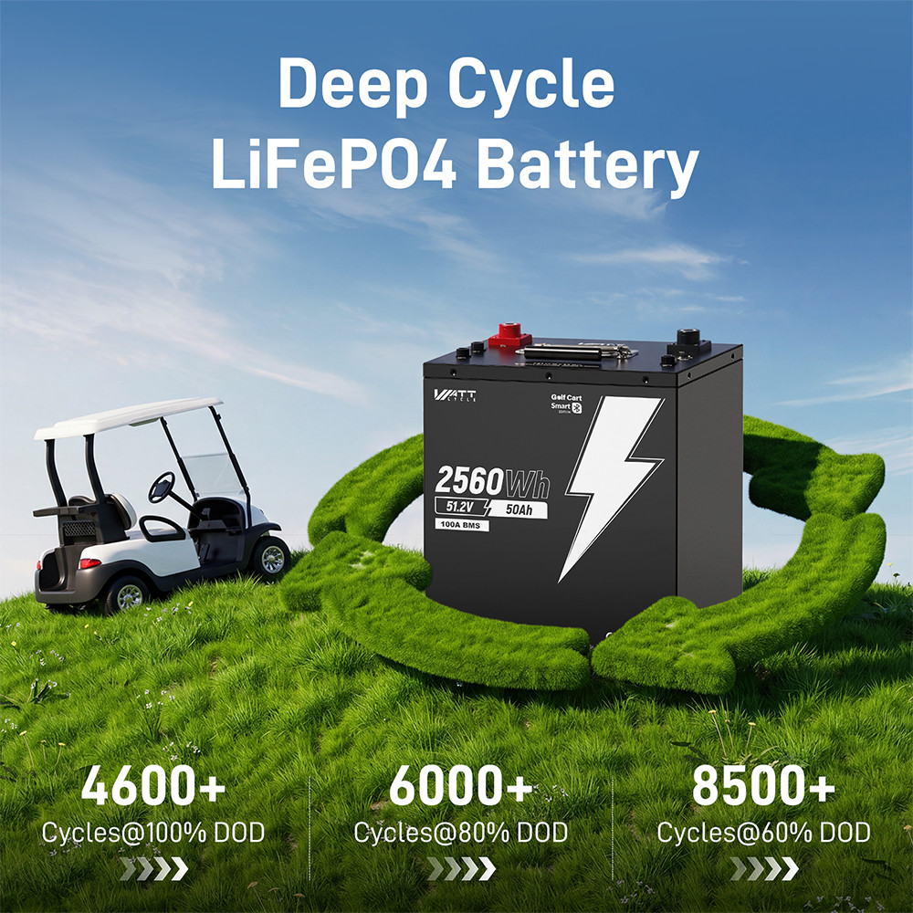48V 50Ah 100A BMS Lithium Golf Cart Battery + 58.4V 15A LiFePO4 Battery Charger