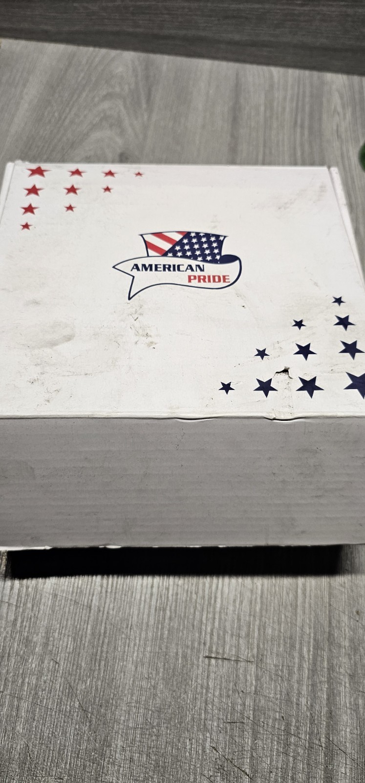 American Pride 30A Solar Charge Controller