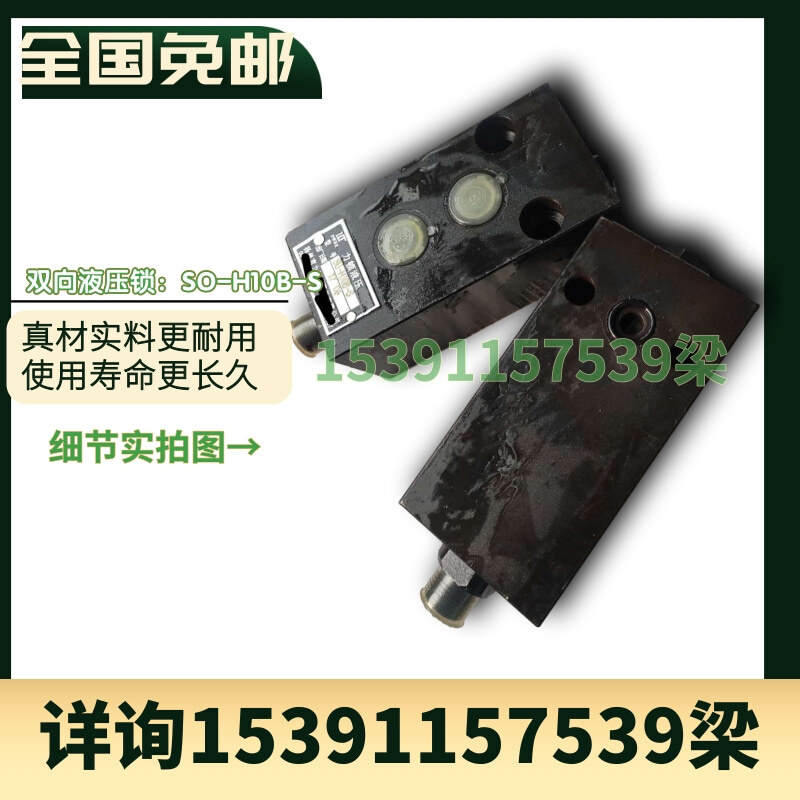 1pc bidirectional hydraulic lock SO-H10B-1AL oil cylinder SO-H10B-1B/2B-S