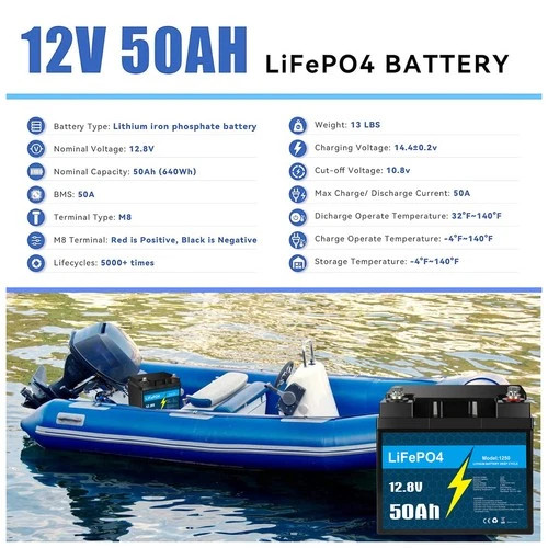 12V 10Ah 30Ah 50Ah BMS LiFePO4 Lithium Battery with Charger for RV Marine Lot