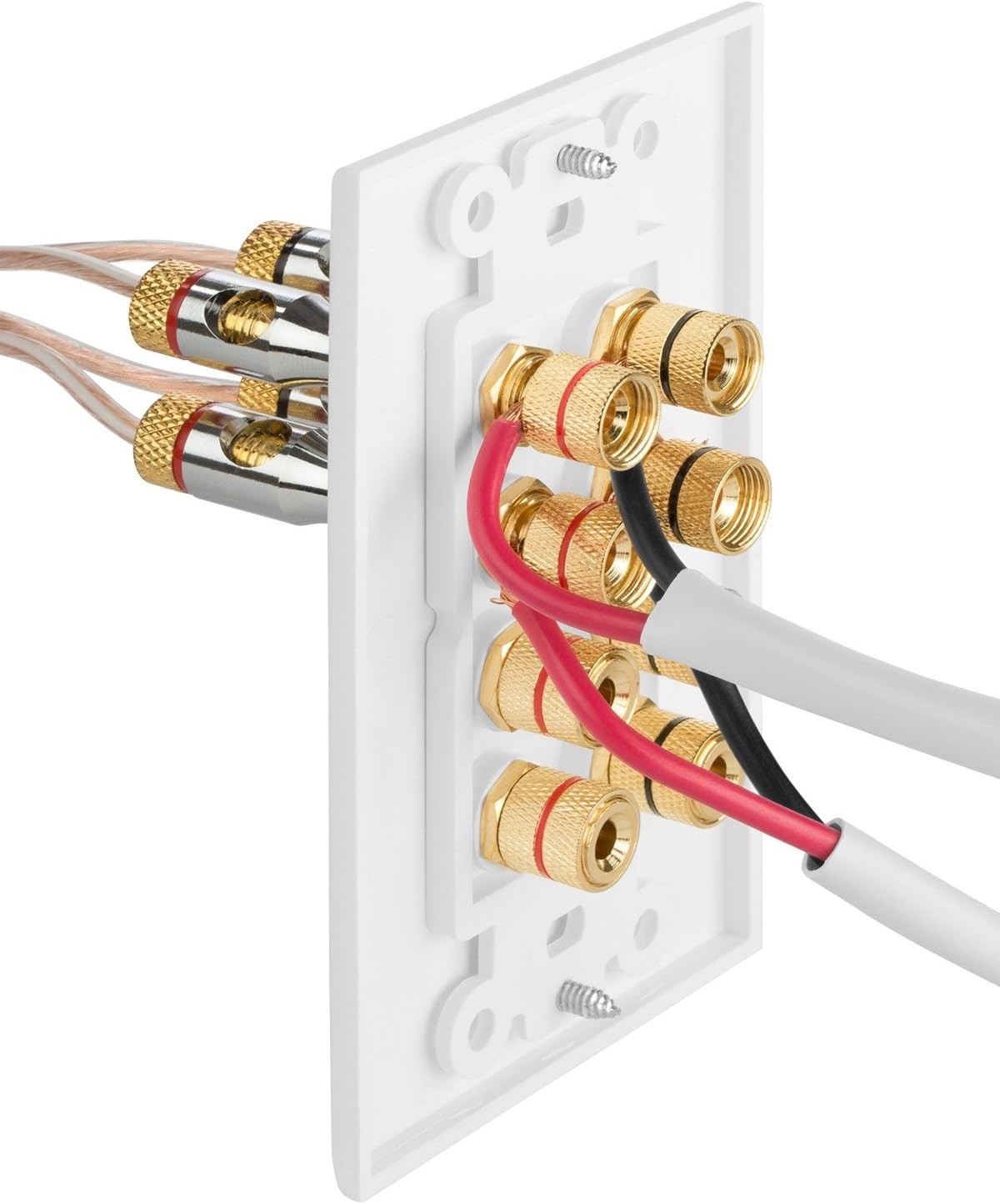 Quality Quad Speaker Wall Plate – Corrosion-Resistant Gold Plated Copper