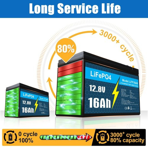 12V 10Ah 30Ah 50Ah BMS LiFePO4 Lithium Battery with Charger for RV Marine Lot
