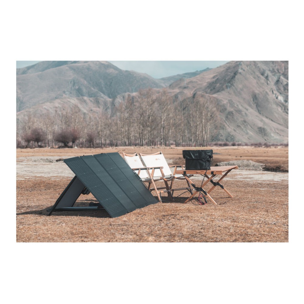 EcoFlow 220W Bifacial Portable Solar Panel IP68 Water-Resistant (Black)