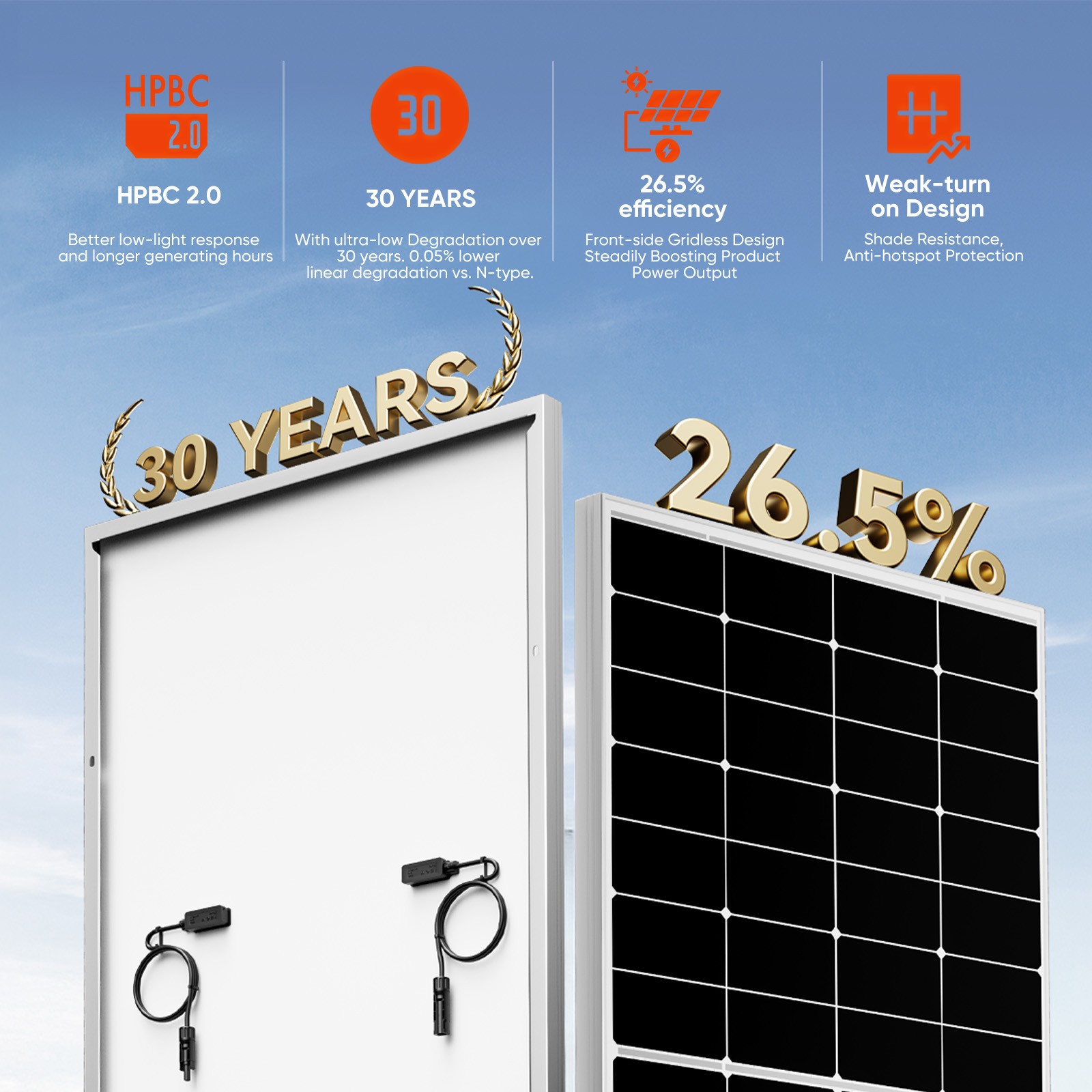 300W 600W 1200W 1800W Mono Solar Panel High Efficiency TOPCon Technology RV Home