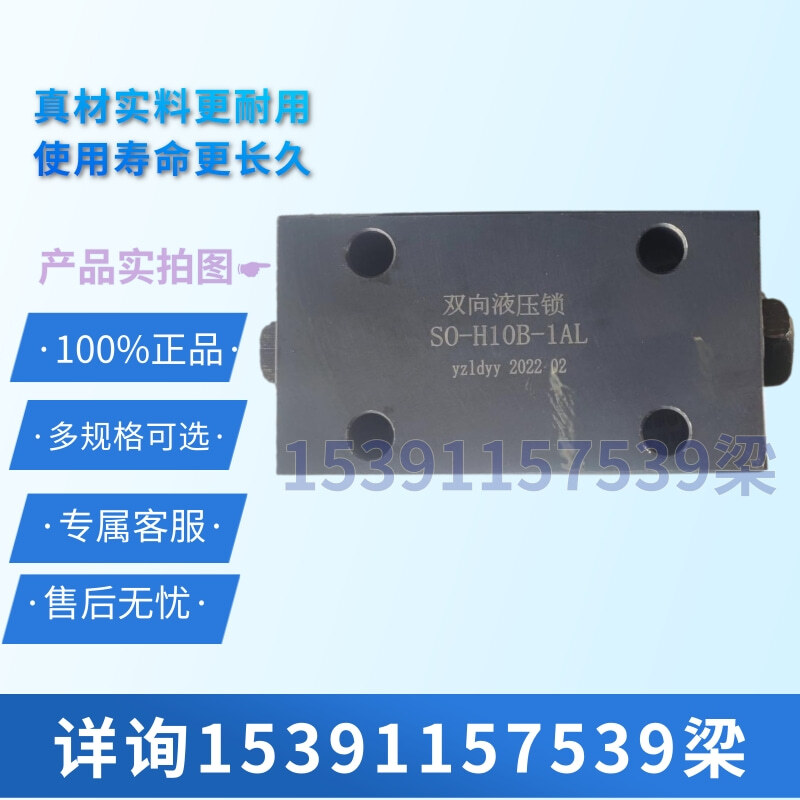 1pc bidirectional hydraulic lock SO-H10B-1AL oil cylinder SO-H10B-1B/2B-S