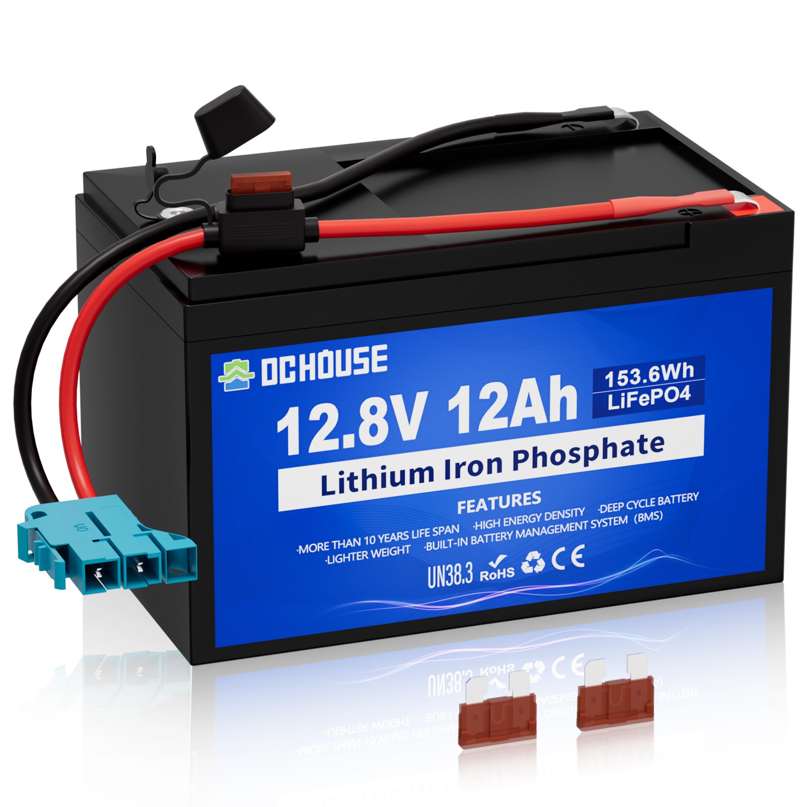 DCHOUSE 12V 120Ah LiFePO4 Battery Low Temp Cut-Off Trolling Motor Solar Camping