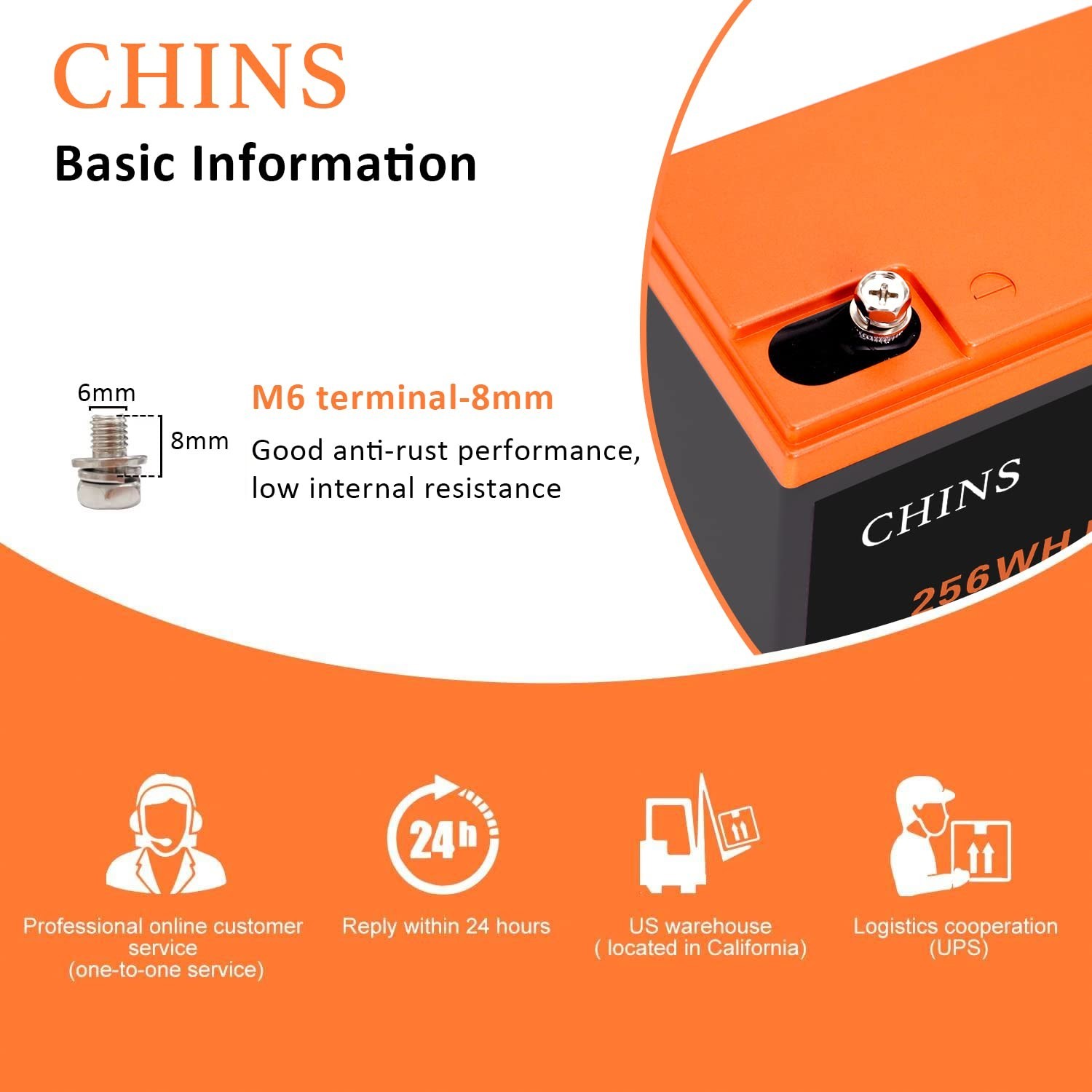 CHINS LiFePO4 Battery 12V 20AH Lithium Battery – Built-in 20A BMS, 2000~5000 …