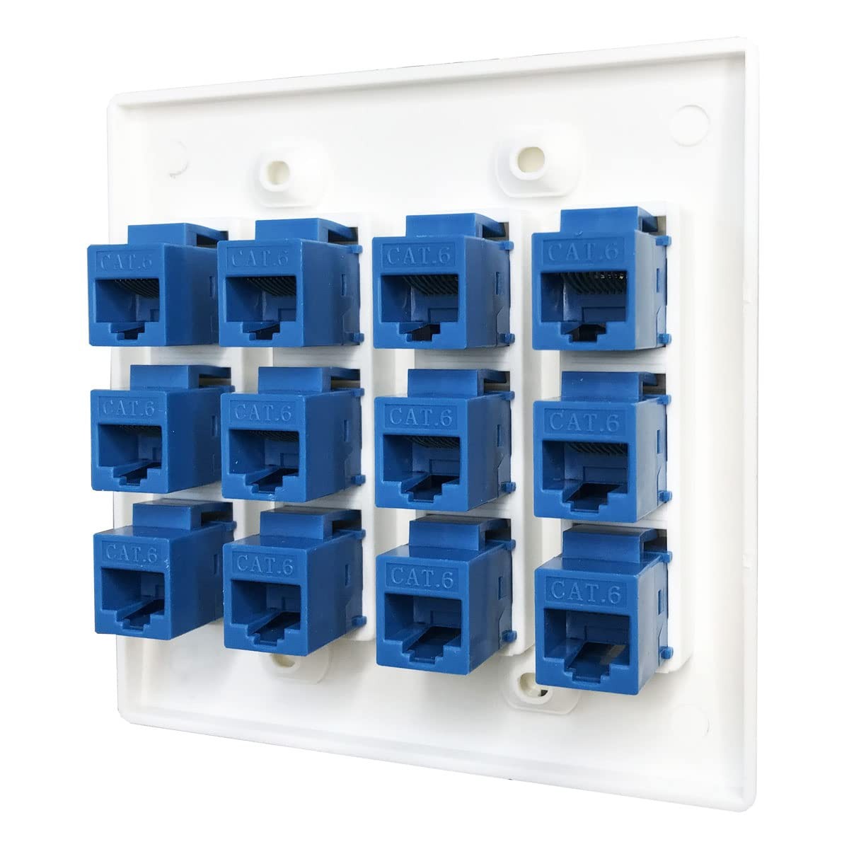 DIYTECH 12 Port Ethernet Wall Plate, Cat 6, Wall Outlet, RJ45 Female to Femal…