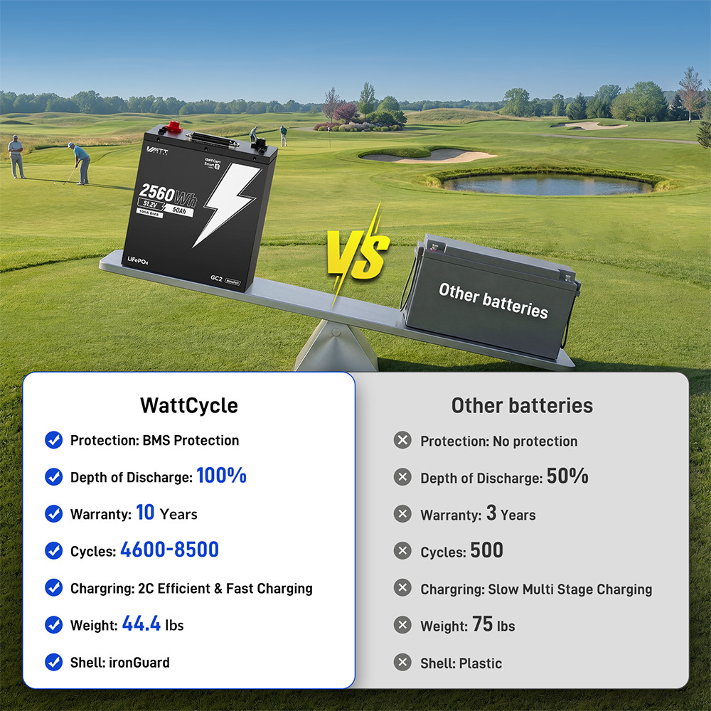 48V 50Ah 100A BMS Lithium Golf Cart Battery + 58.4V 15A LiFePO4 Battery Charger