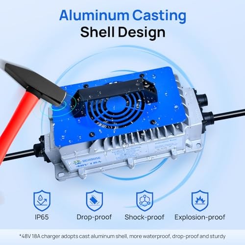 Lithium Battery Charger, 900W Fast Charger, Charging Efficiency ≥ 93%, 48V 18A