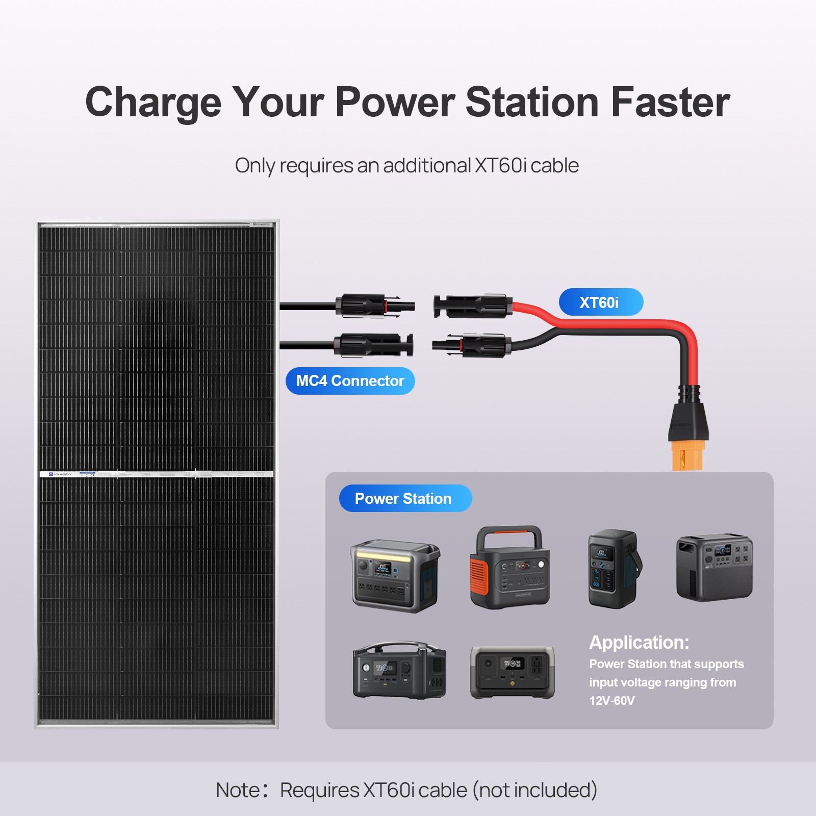 ECO-WORTHY Bifacial 195W Watt 12V Solar Panel Mono HighEfficiency PV for Sunshed