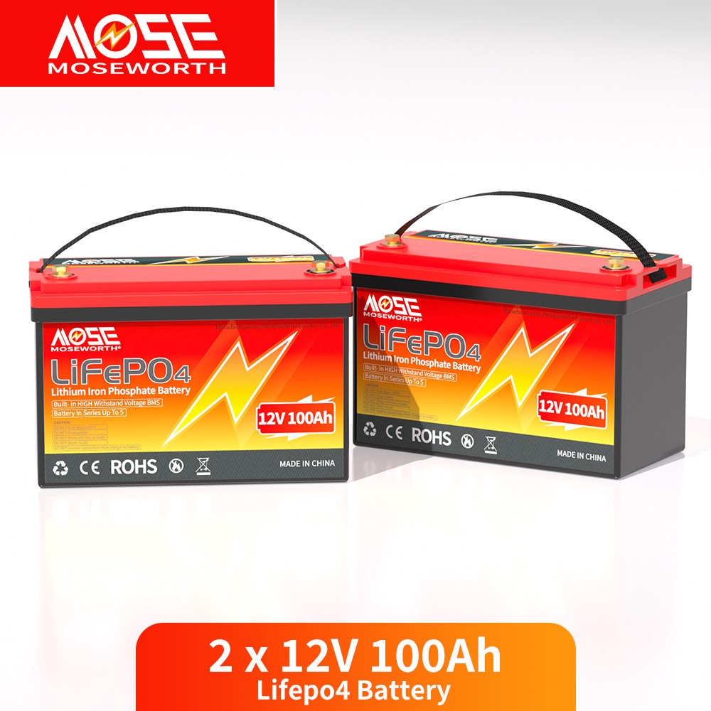 48V 36V 24V 200Ah 300Ah 400Ah 600Ah Lithium LiFePO4 Battery 200A BMS Solar Motor