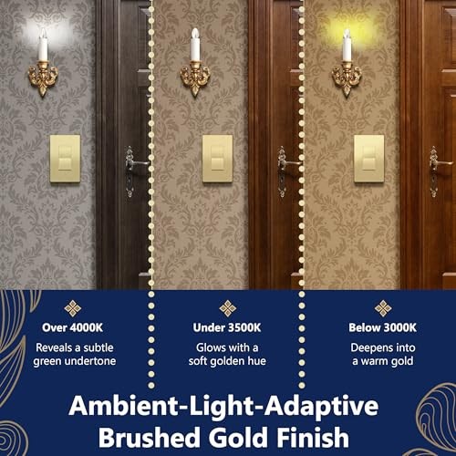 Minimalist Design Single Pole (Wall Plate Not Included) 1 Brushed Gold