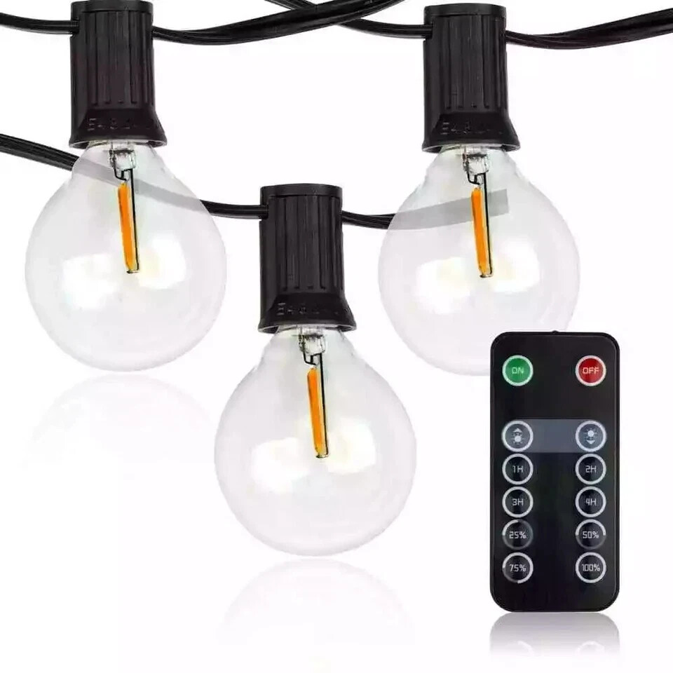 Newhouse Lighting LED Outdoor 25 ft. Plug-In Globe Bulb String Light 27-Sockets