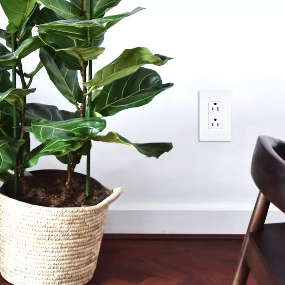 Radiant 15 Amp 125-Volt Decorator Duplex Outlet, White (10-Pack)