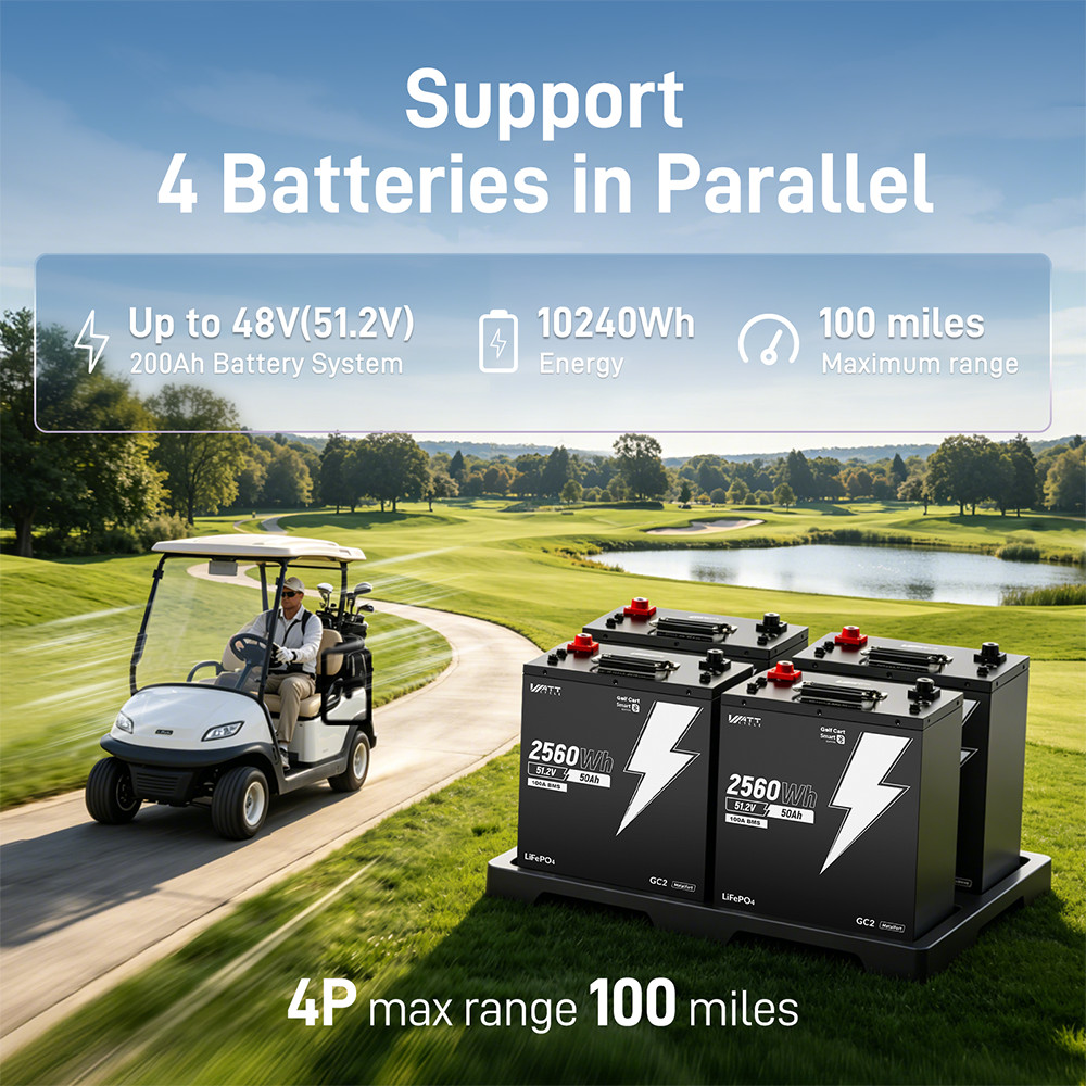 48V 50Ah 100A BMS Lithium Golf Cart Battery + 58.4V 15A LiFePO4 Battery Charger