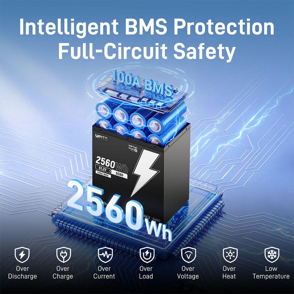 48V 50Ah 100A BMS Lithium Golf Cart Battery + 58.4V 15A LiFePO4 Battery Charger