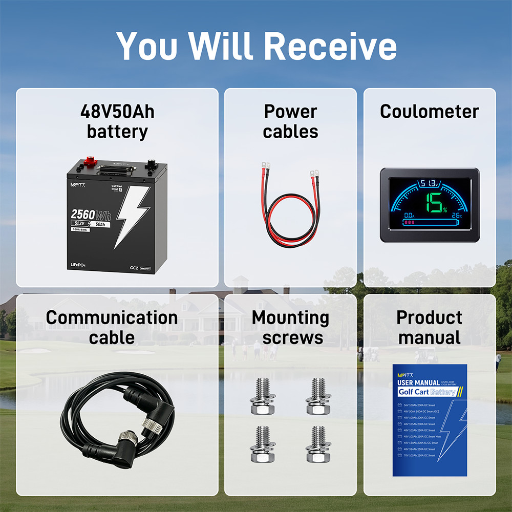48V 50Ah 100A BMS Lithium Golf Cart Battery + 58.4V 15A LiFePO4 Battery Charger
