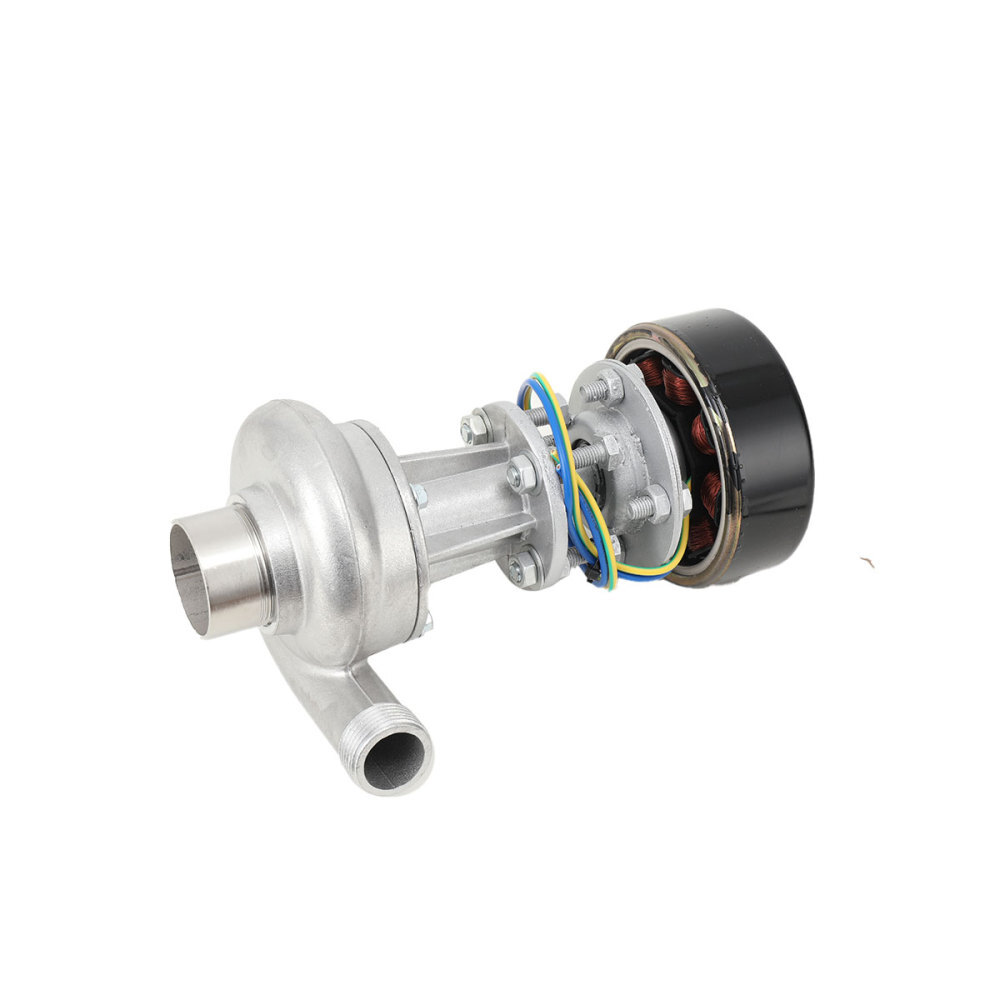 1000W Micro Hydroelectric Generator High Power Motor Monitoring Lighting Outdoor