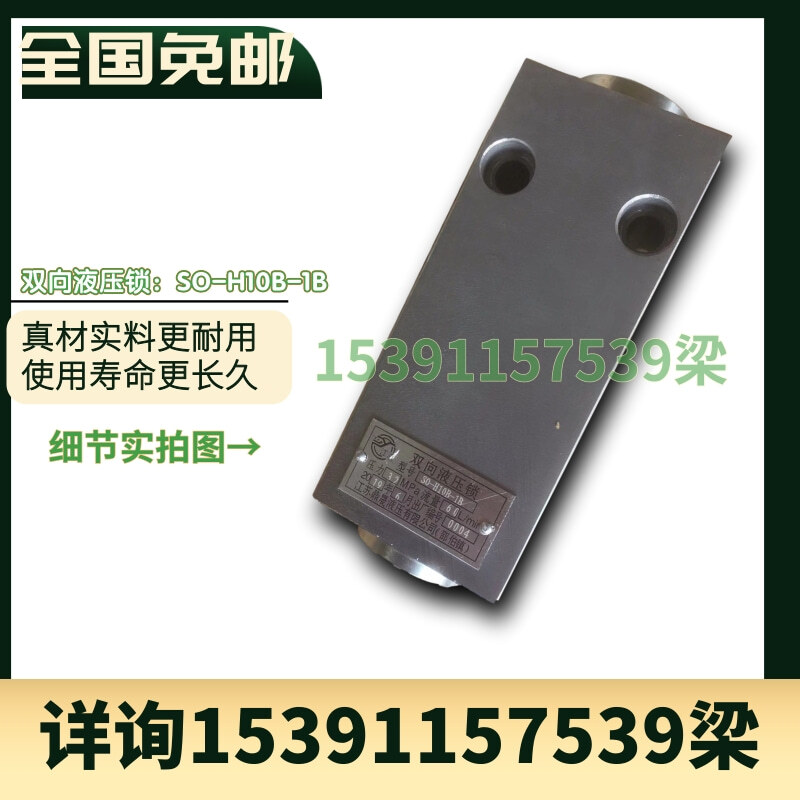 1pc bidirectional hydraulic lock SO-H10B-1AL oil cylinder SO-H10B-1B/2B-S