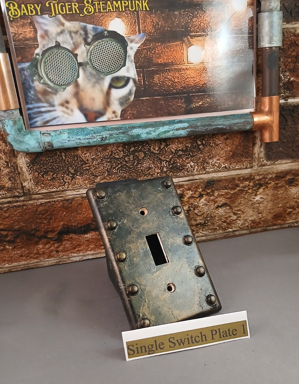 STEAMPUNK New and hand painted single light switch plate/cover standard size