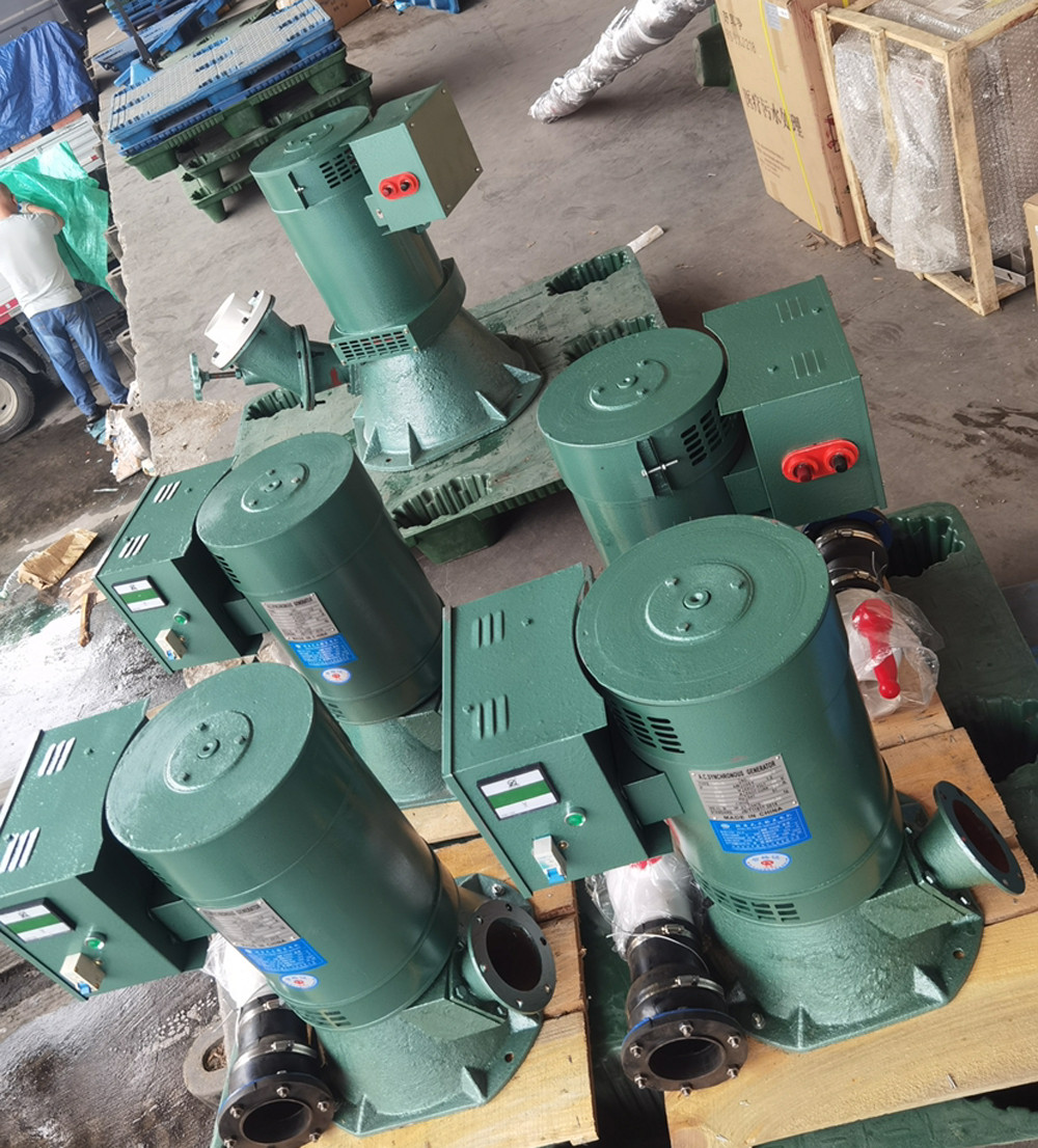 10000W 220V Water Hydroelectric Pelton Turbine Low RPM Single-phase AC Generator