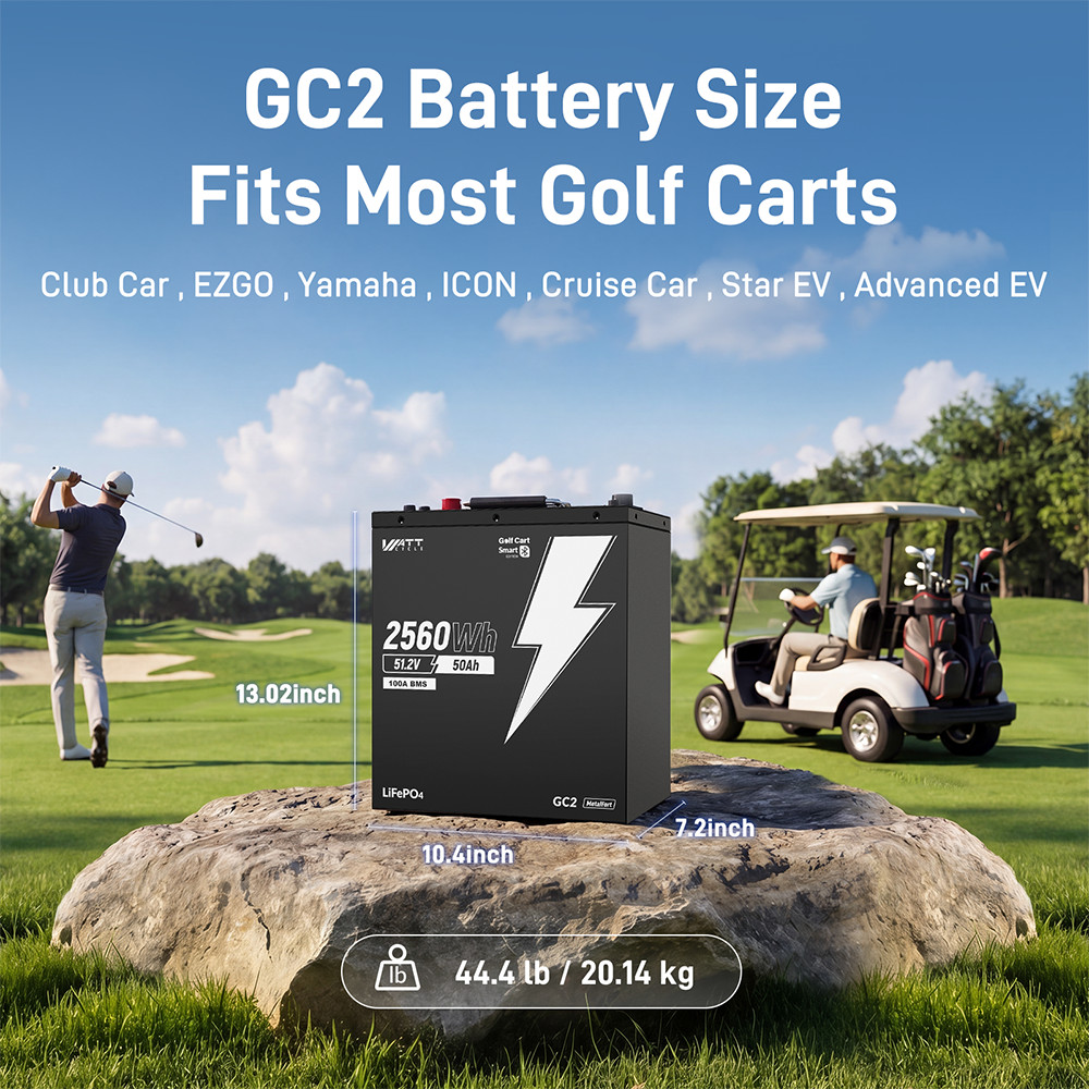 48V 50Ah 100A BMS Lithium Golf Cart Battery + 58.4V 15A LiFePO4 Battery Charger