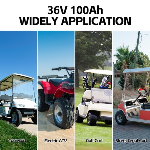 Newtipower 36V 100Ah LiFePO4 Golf Cart Lithium Battery 10000+Cycles 200A BMS RV