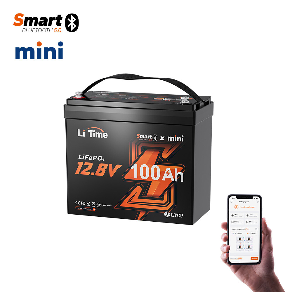 LiTime 12V 100Ah Mini Bluetooth LiFePO4 Lithium Battery BMS for RV Marine Solar