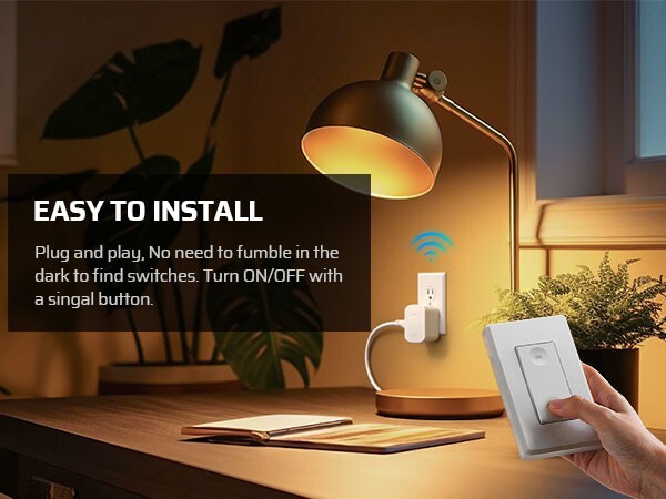 DEWENWILS Wireless Remote Outlet Wall Switch Outlet 1 Outlet and 2 Remotes