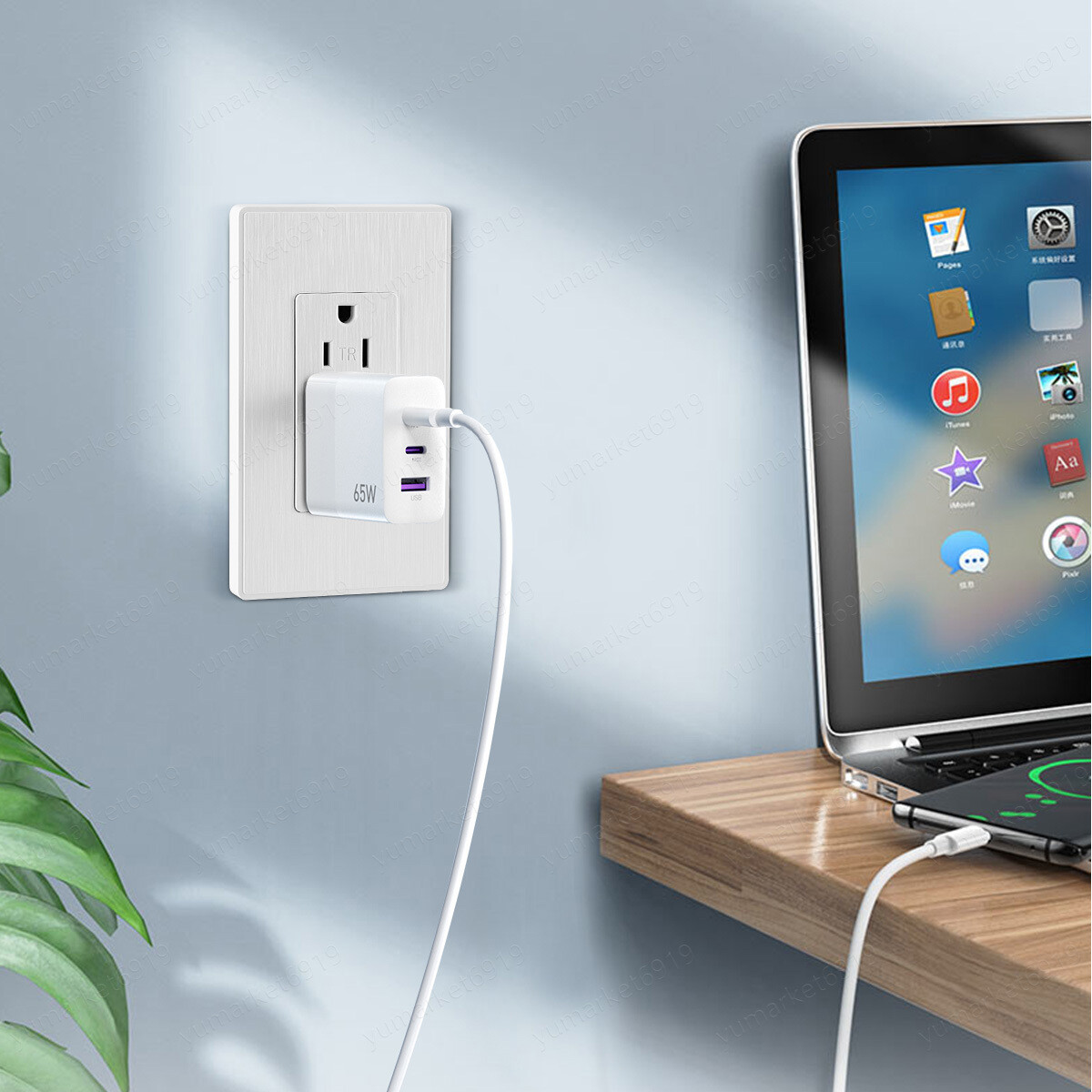 110V Dual USB Port Type C Wall Socket Charger AC Power Receptacle Outlet Panel