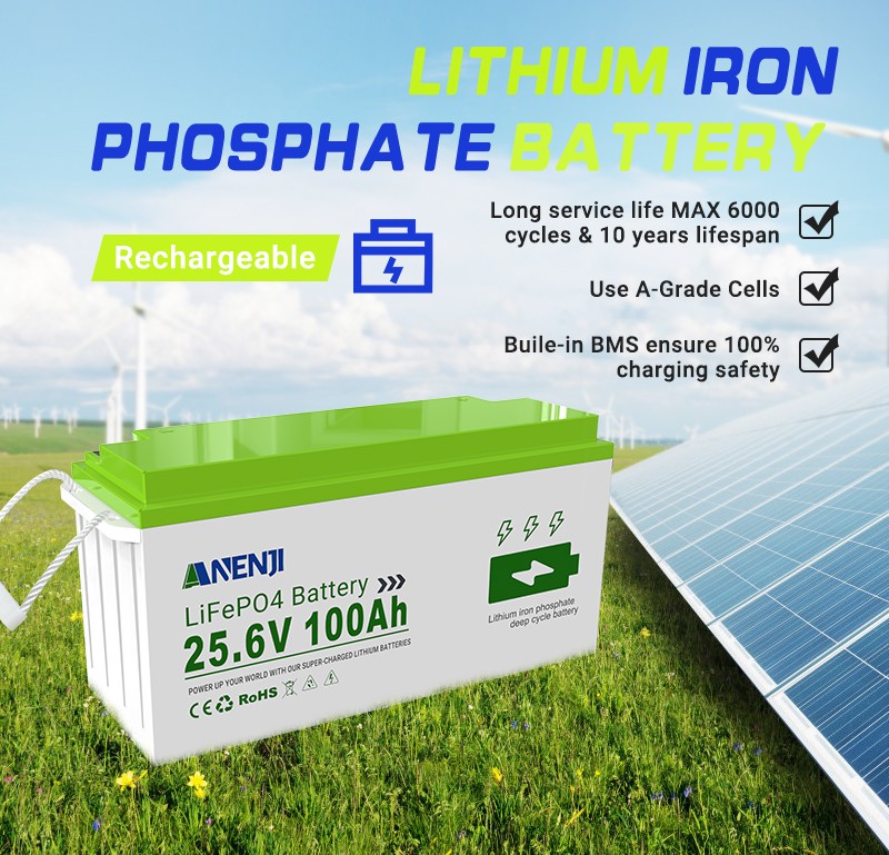 3KW 24V Hybrid Solar Inverter Charger Controller+25.6V 100AH LiFePO4 Battery US