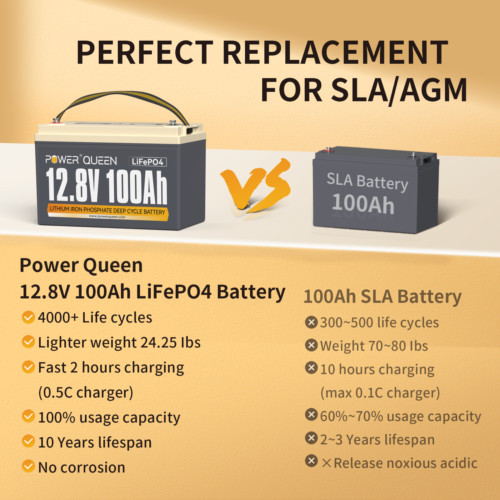 Power Queen 12V 24V 36V 50Ah 100Ah LiFePO4 Lithium Battery BMS For Marine RV lot