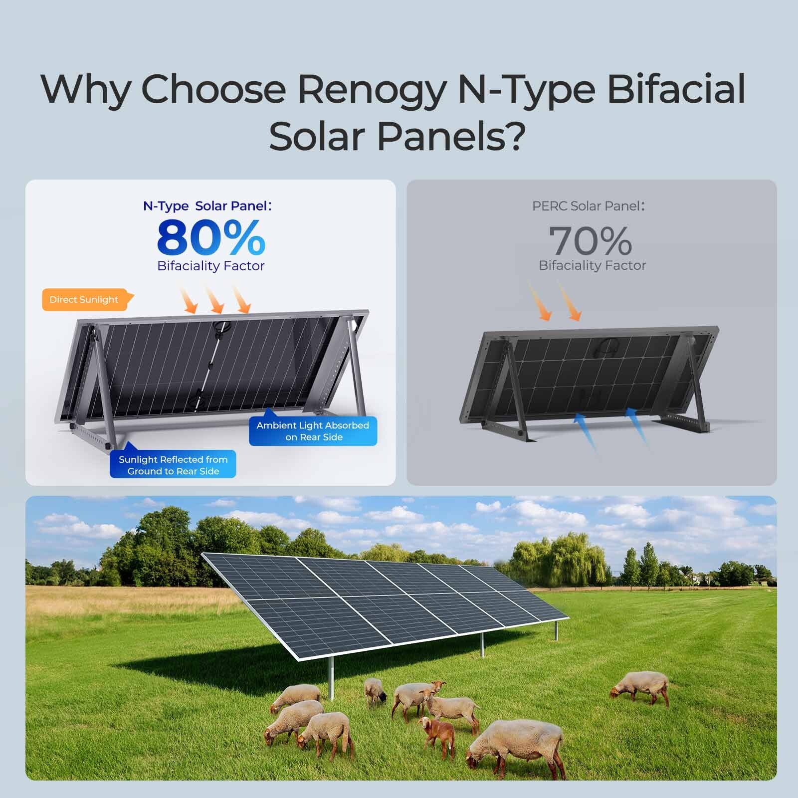 Renogy 2PCS Bifacial 590 Watt N-Type Monocrystalline Solar Panel High-Efficiency